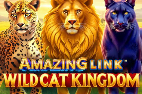Amazing Link